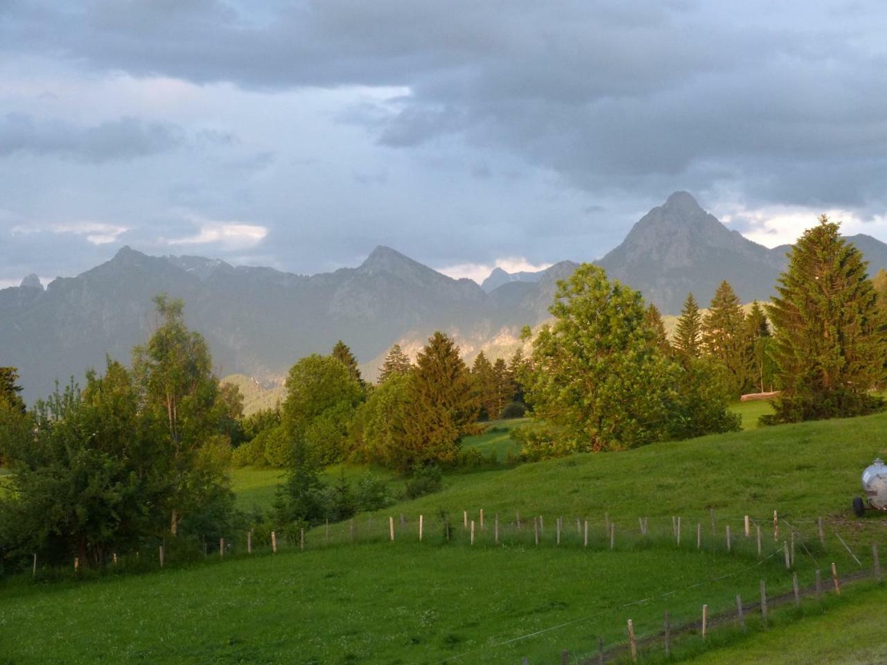 福森Ferienhof Am Holderbusch公寓 外观 照片